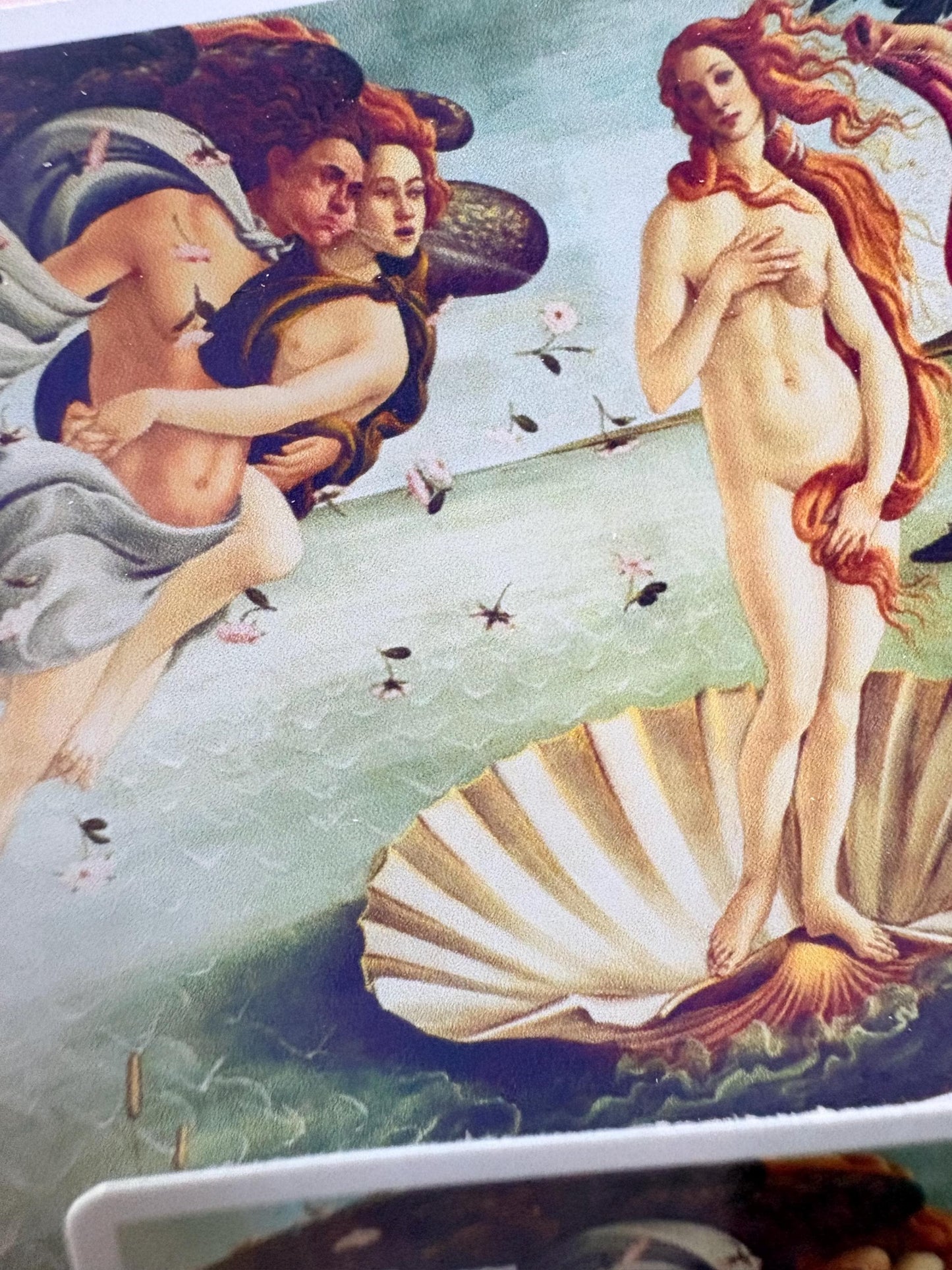 Birth of Venus Sticker | Botticelli Renaissance Mythology Art (Vinyl)